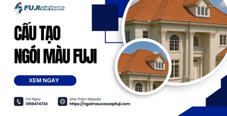 cau-tao-ngoi-mau-fuj