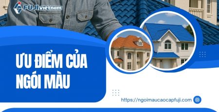 uu-diem-cua-ngoi-mau