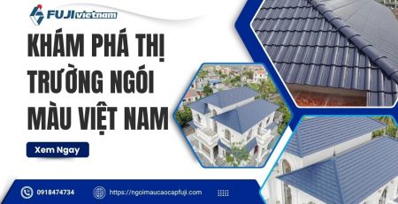 kham-pha-thi-truong-ngoi-mau-viet-nam